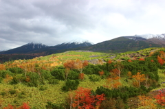 十勝岳の紅葉
