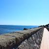 真っ青に染まる海