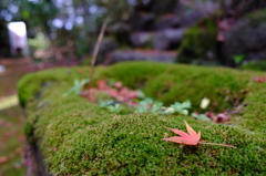 2015_1121_12192200(4)