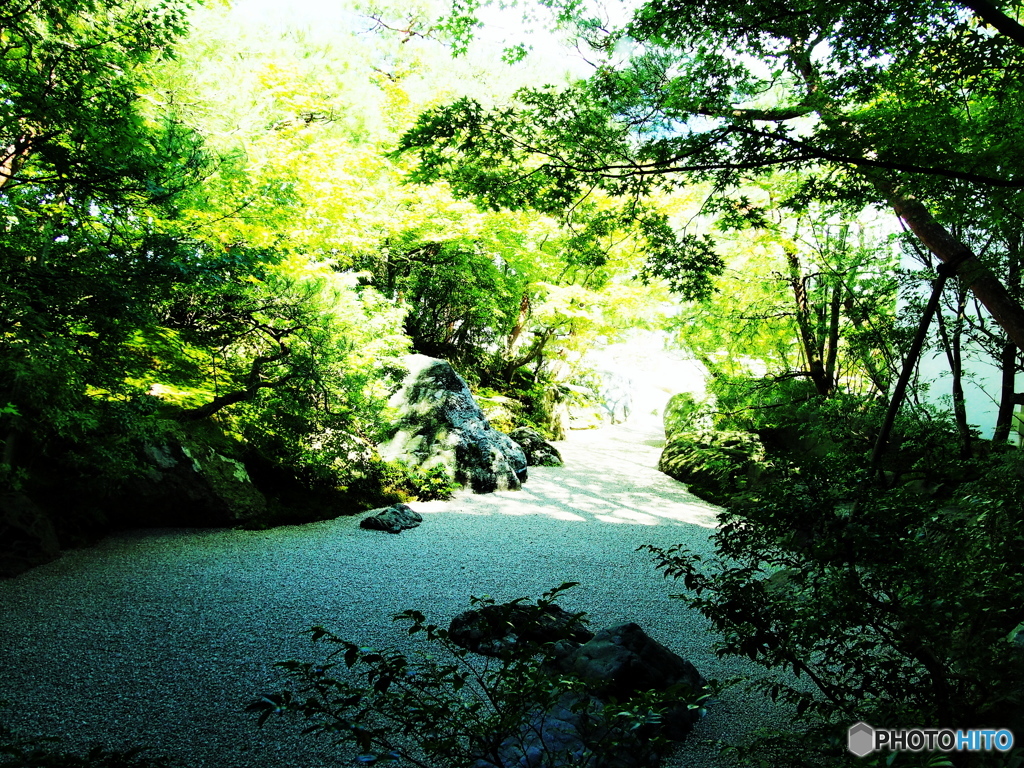庭園と光