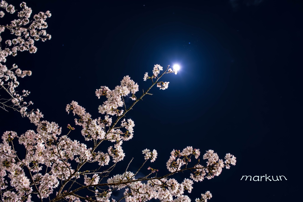 D8E63B44-A4C0-4236-9557-C98B35C8C00C