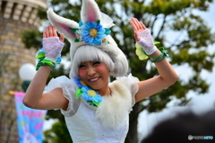素敵なうさぎさん