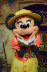 Happy Birthday Minnie!!