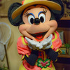 Happy Birthday Minnie!!