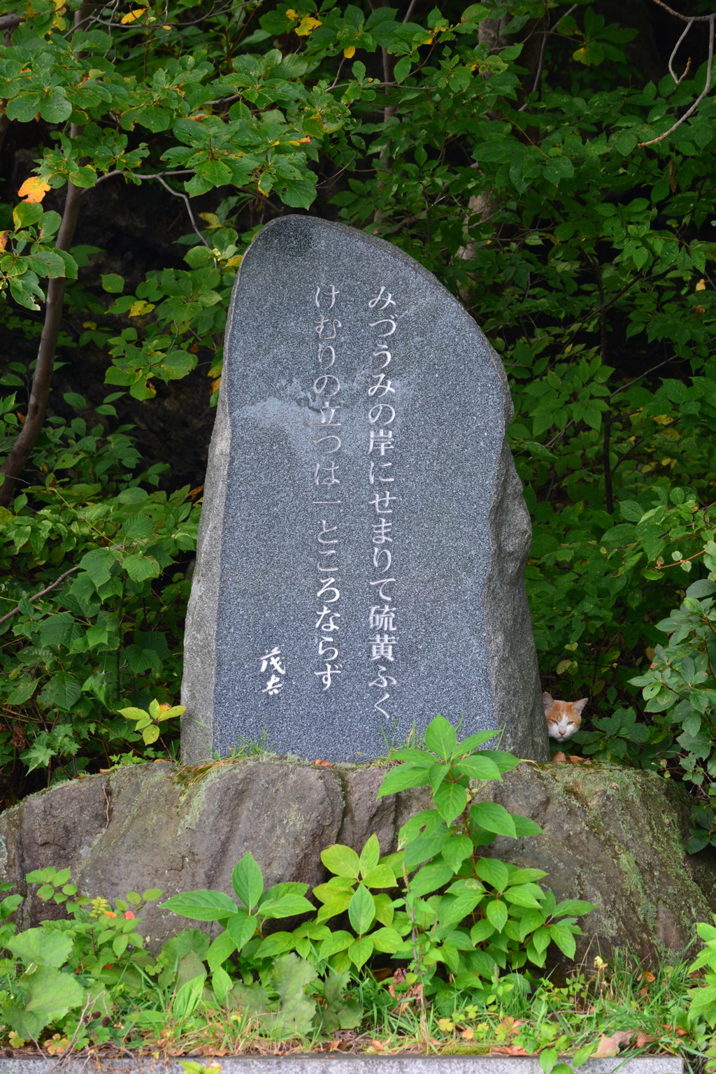 また誰かに見られてる！？