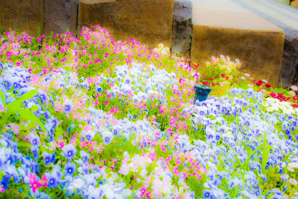 ❁spring flower❁