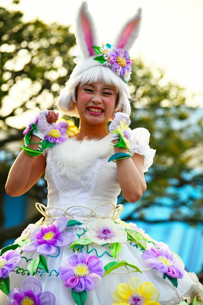 bunny bunny bunny♪