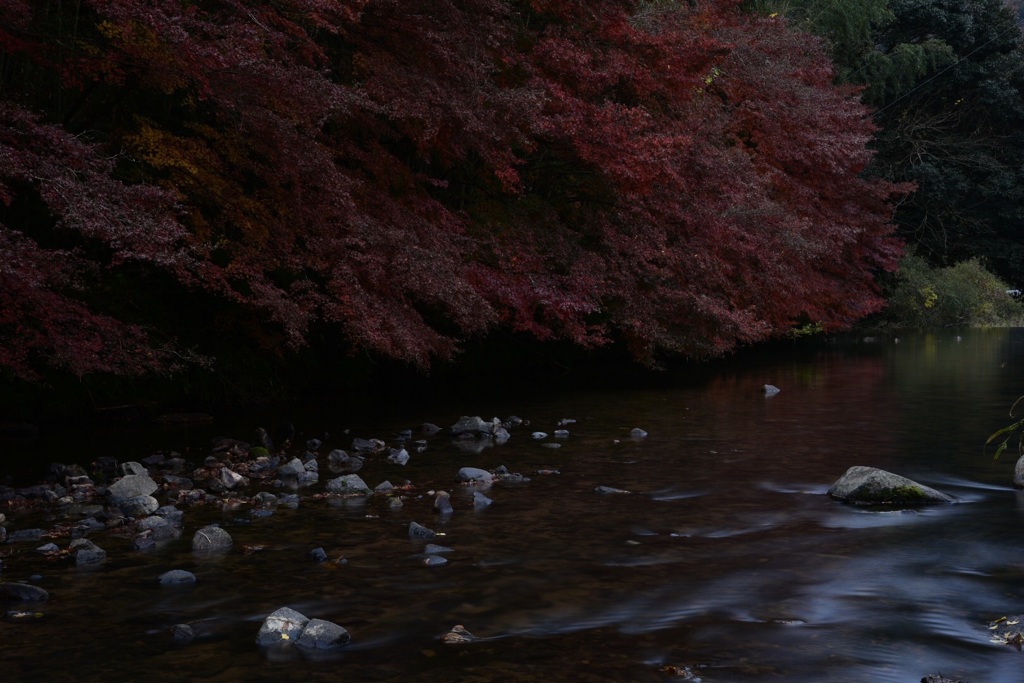 紅く染まる