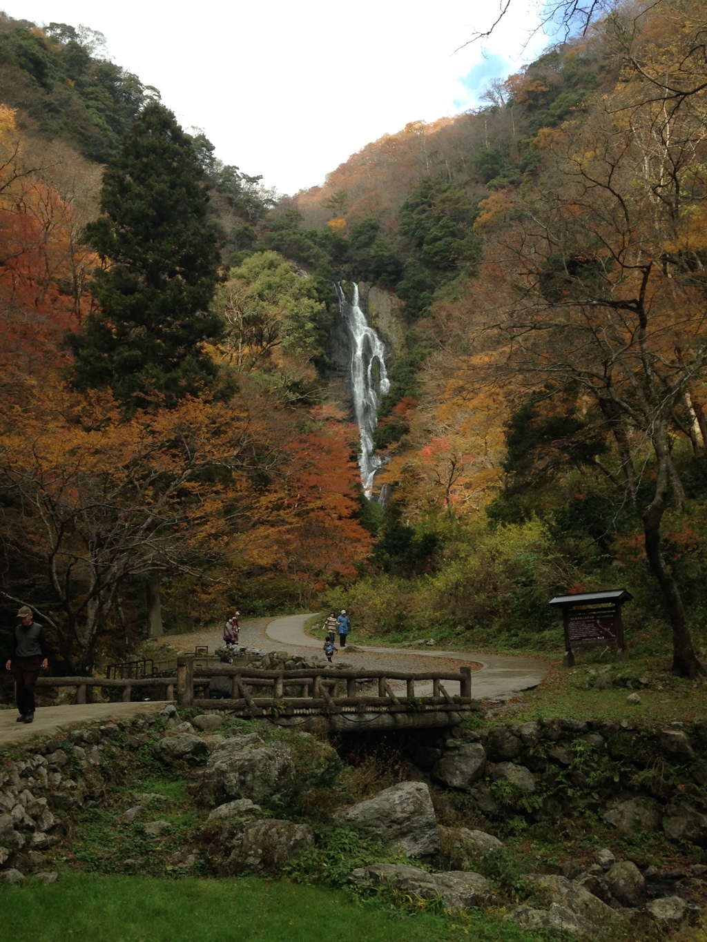 去年の紅葉(笑)