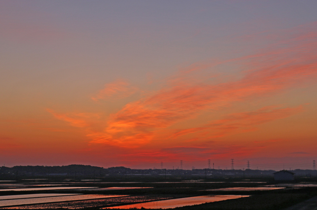 手賀沼　200426