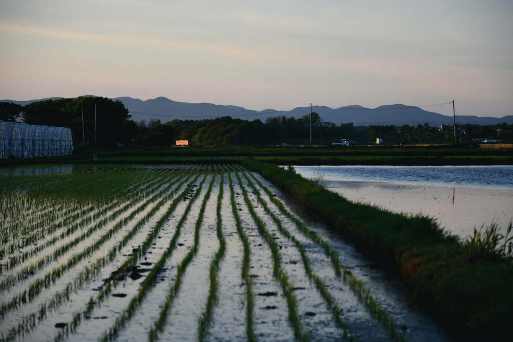 存在感