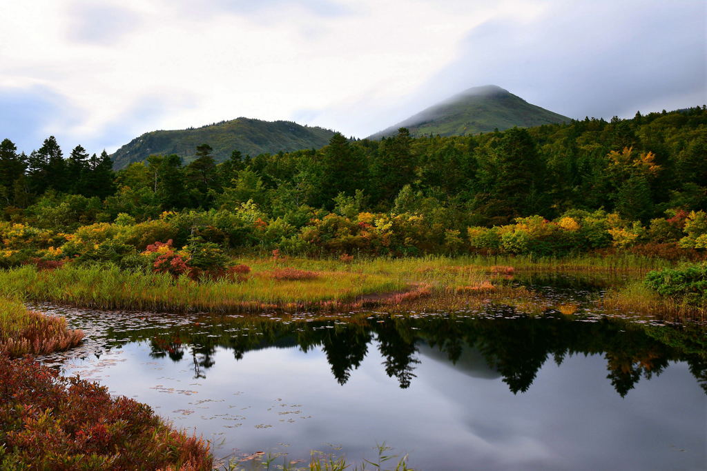 Early autumn Mt.Hakkoda
