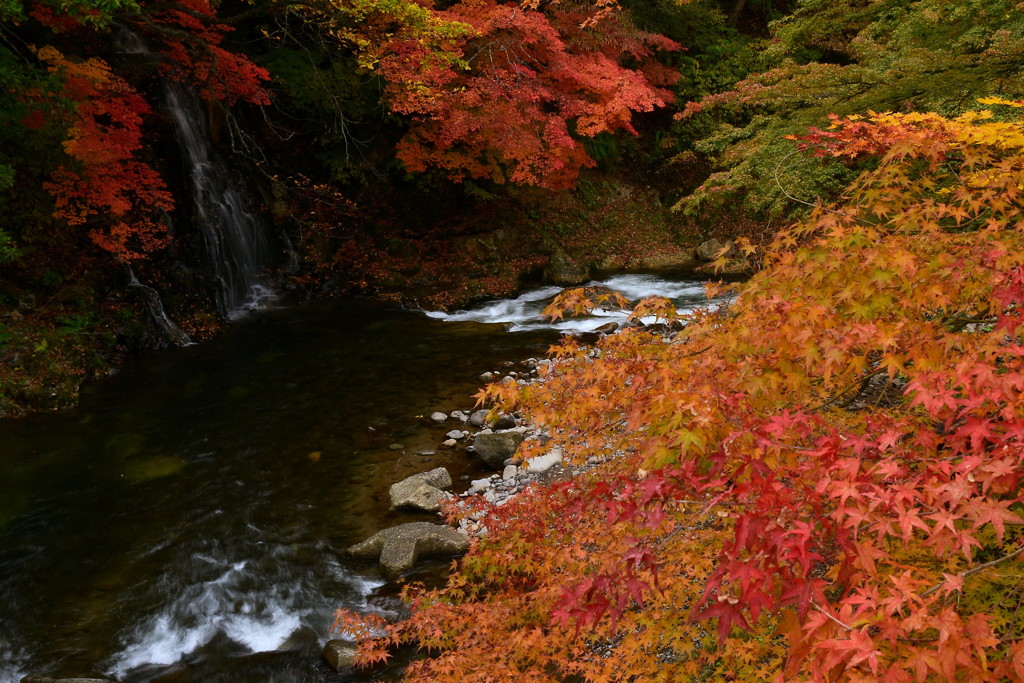 秋の川