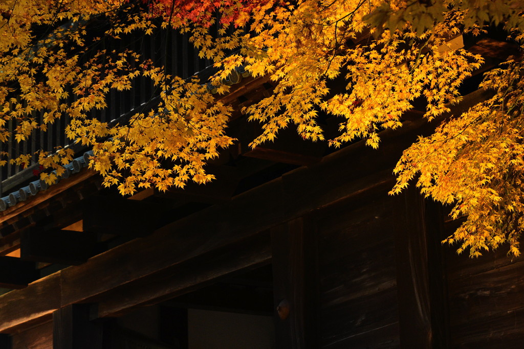 黄の城門