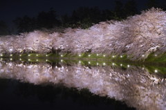 夜桜巡り