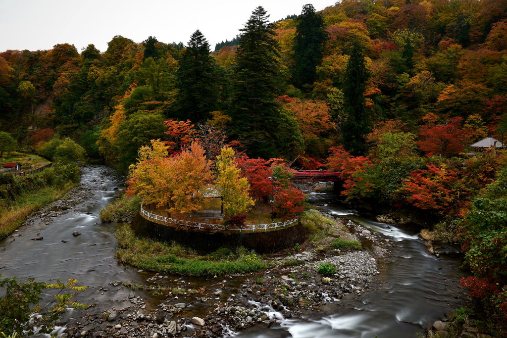 Autumn leaves  Mt.Nakano momigi