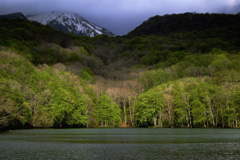 Early morning of Tsutanuma