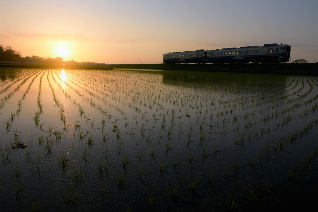 夕に向かう