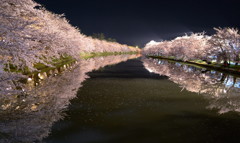 西濠全景　〜弘前城さくらまつり〜