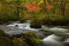 Autumn Oirase stream