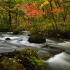 Autumn Oirase stream