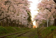 津軽鉄道の春