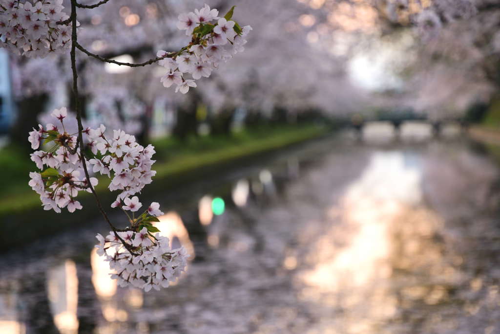 Early morning Hirosaki