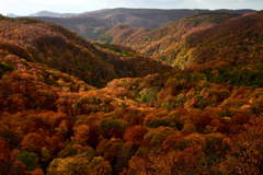 Late autumn Jyogakura