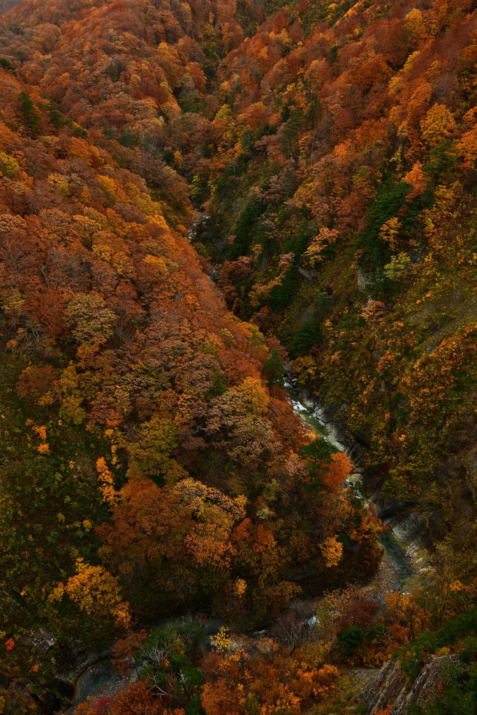 Late autumn of the valley