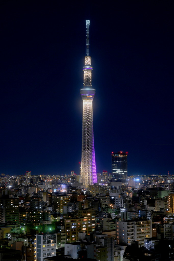 雅