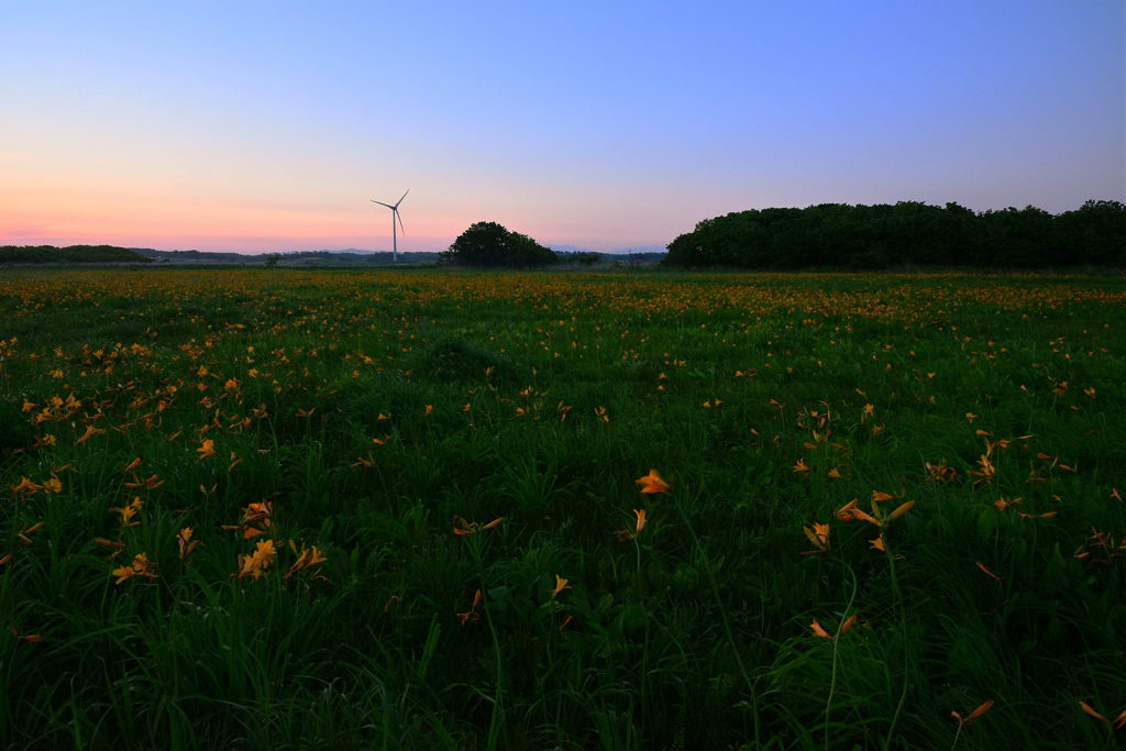 Early morning Bense wetlands