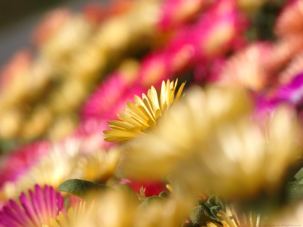 Tiny Explosion