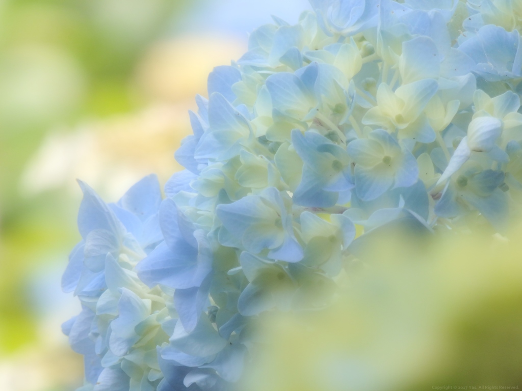 Fragile