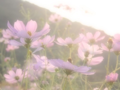 夢の中へ