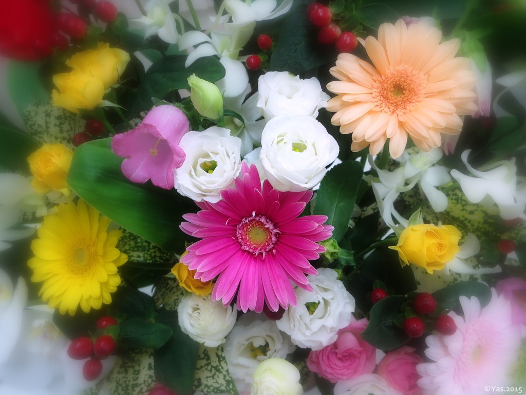 Bouquet