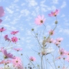 Airy Blue