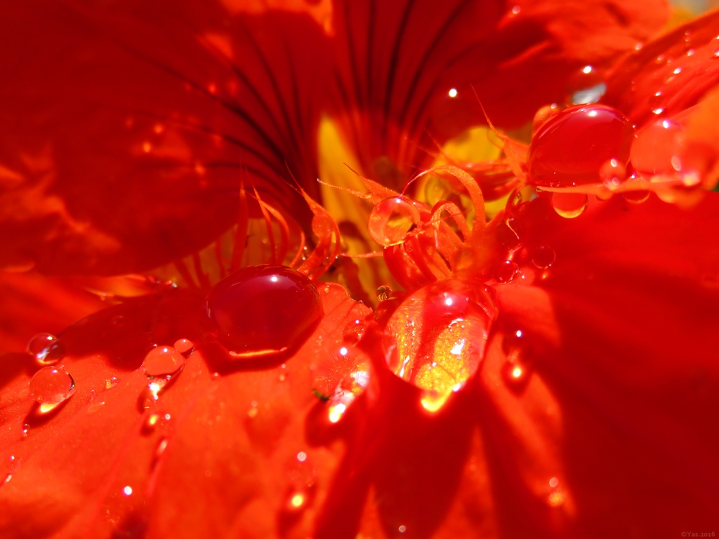Vermilion