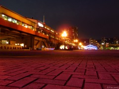 Bricks