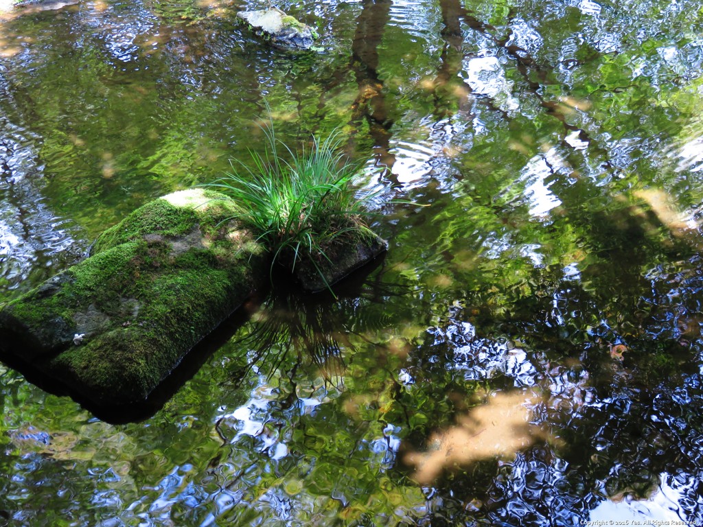 Shades on the Water