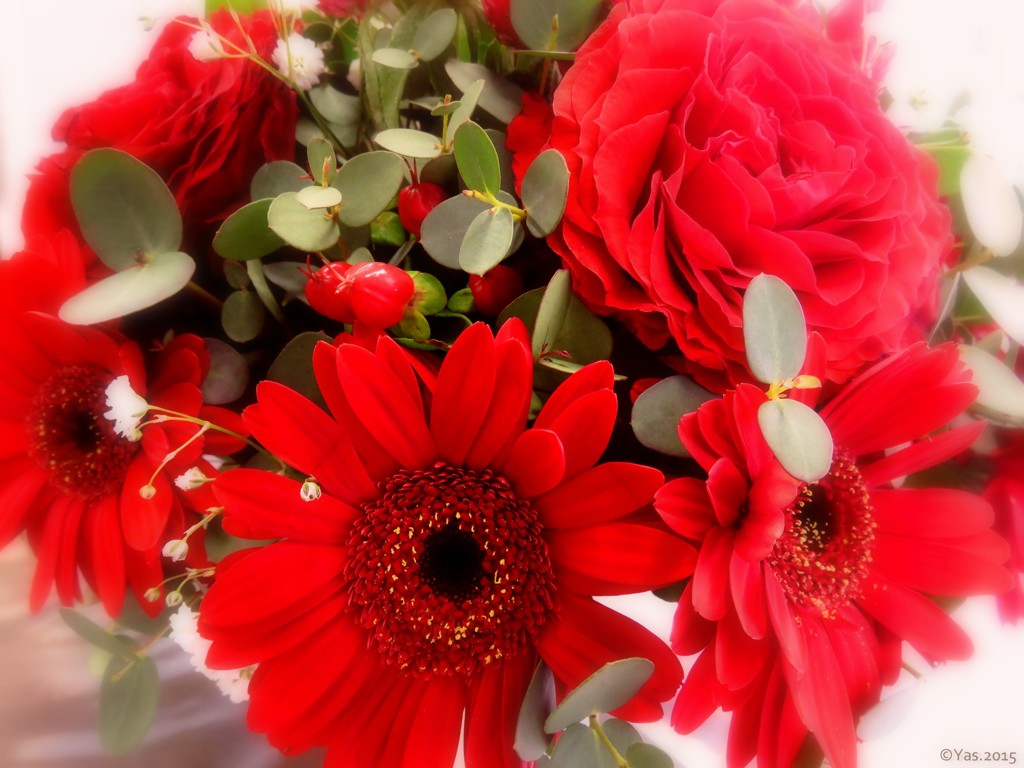 Rosso