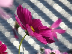 Slanting