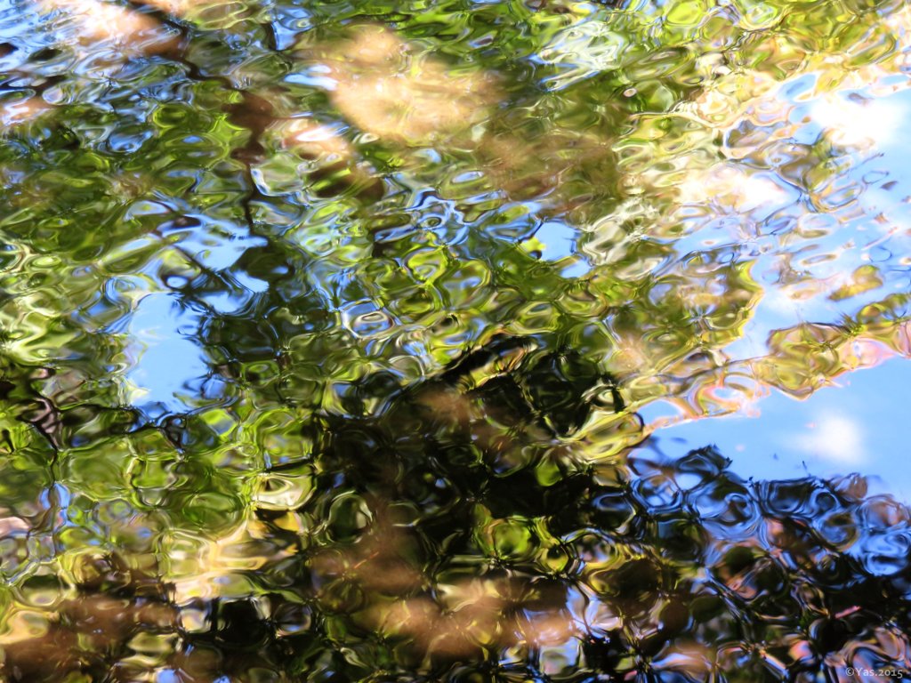 A river runs through it