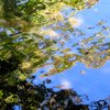  Ripple