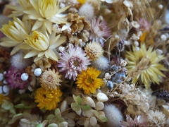Dried