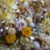 Dried