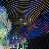 Tube of illumina.Ⅱ