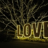 One More LOVE