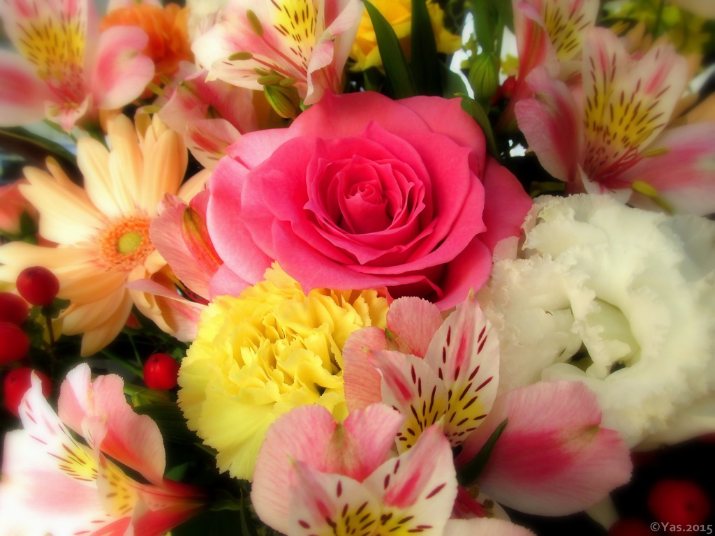 Bouquet
