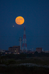 大きなお月様