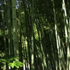 光と影